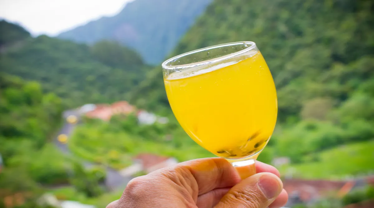 Madeira Island Escapade
