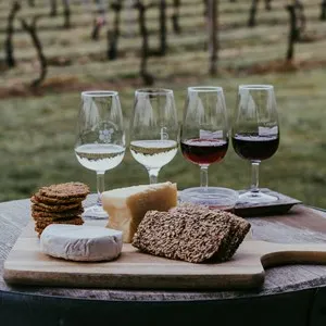 Book a Wine Tasting Tour