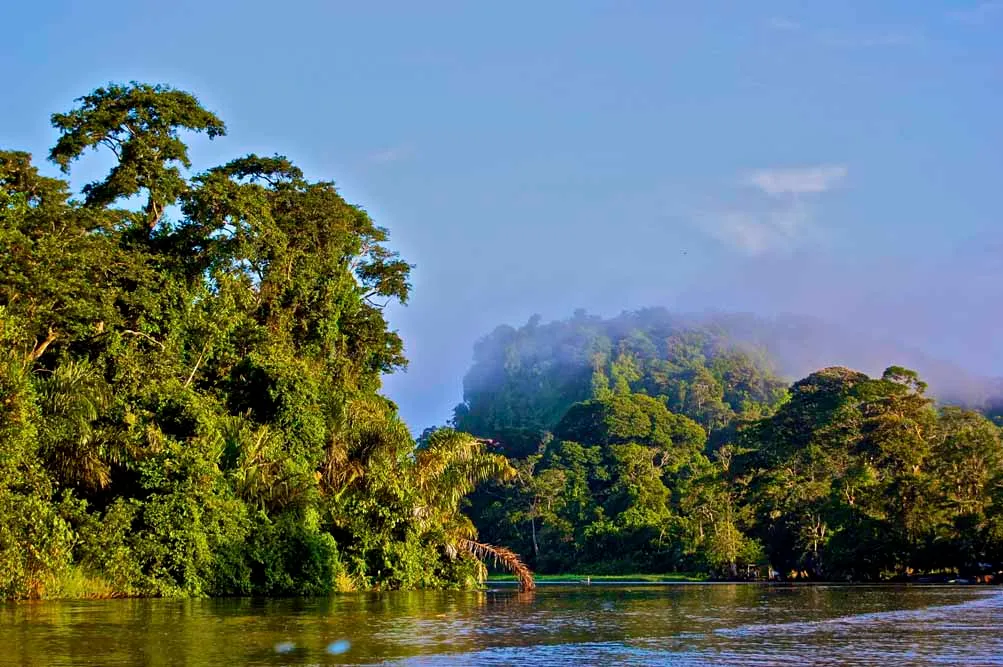 Rio and Iguacu Falls Explorer