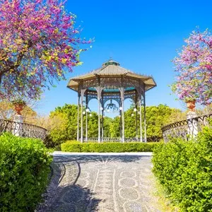 Best Time to Visit