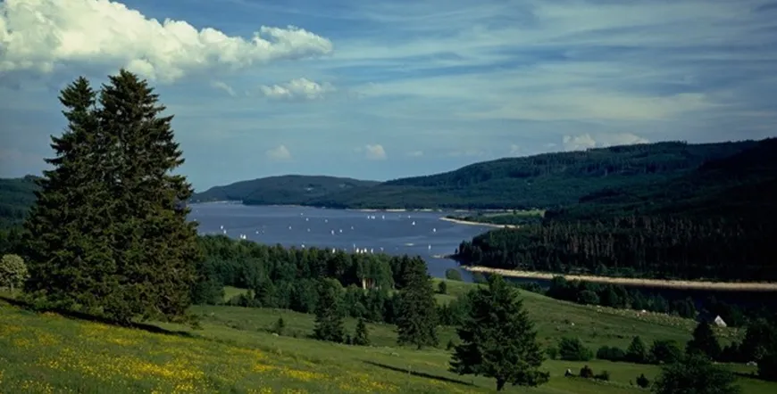 The Magic of the Black Forest Germany Escorted Vacation