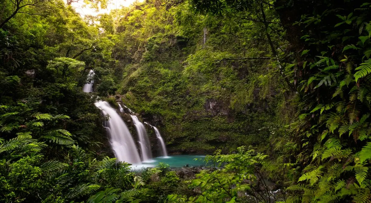 Maui Island