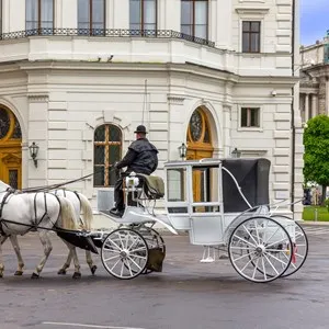Horse Carriage Ride