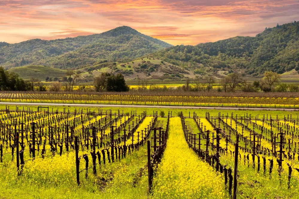 San Francisco and Napa Valley Self Drive Explorer