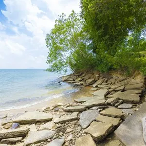 Fossil Shell Beach