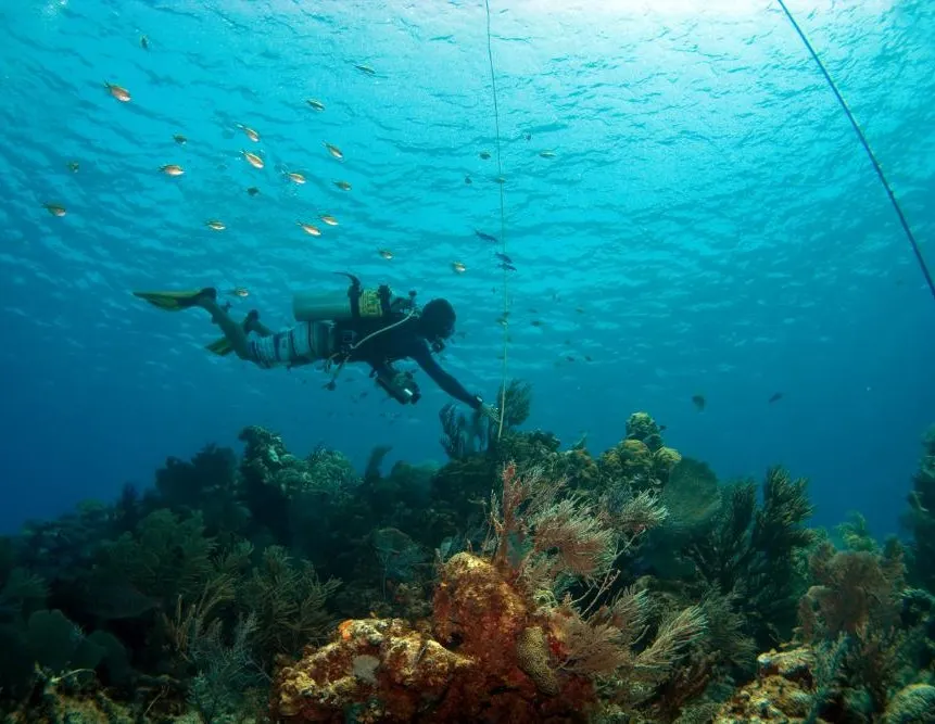Cayman Brac photo 2