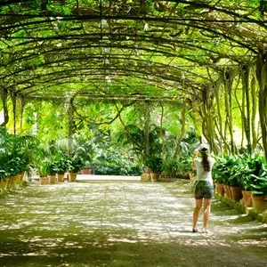 Botanical Garden