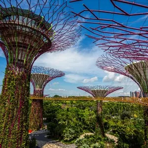 Gardens by the Bay