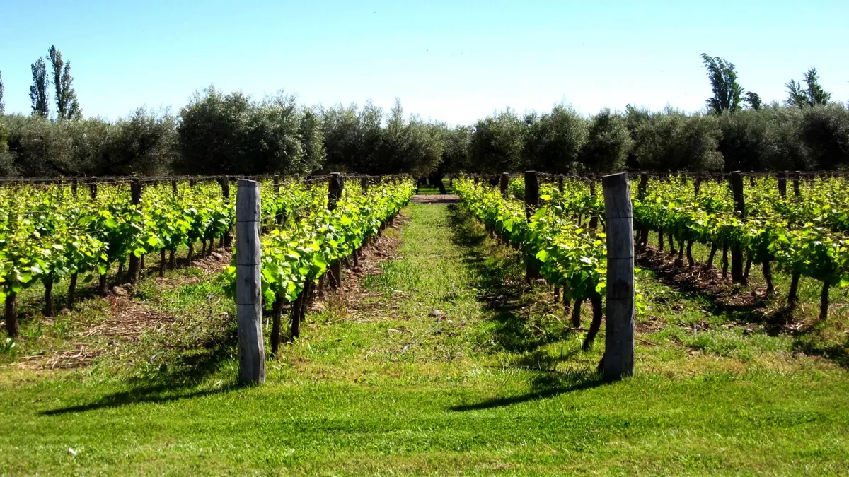 Patagonia Discovery through Wildlife Vineyards and Glaciers