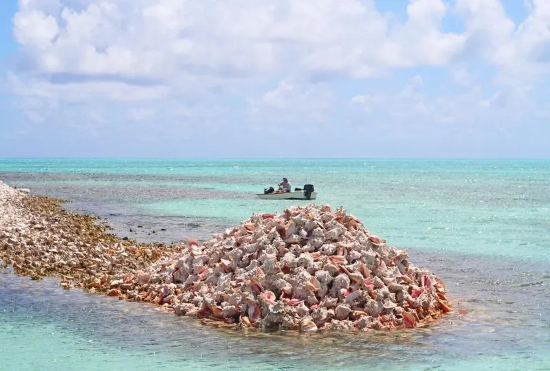Anegada