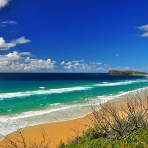 Fraser Island