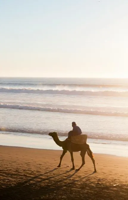 Southern Morocco Adventure through Deserts Kasbahs and Oases