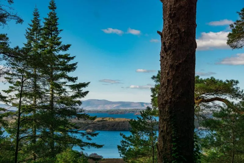 Private Journey to the Gardens of Ireland in Autumn