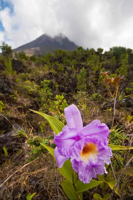 Arenal Volcano NP