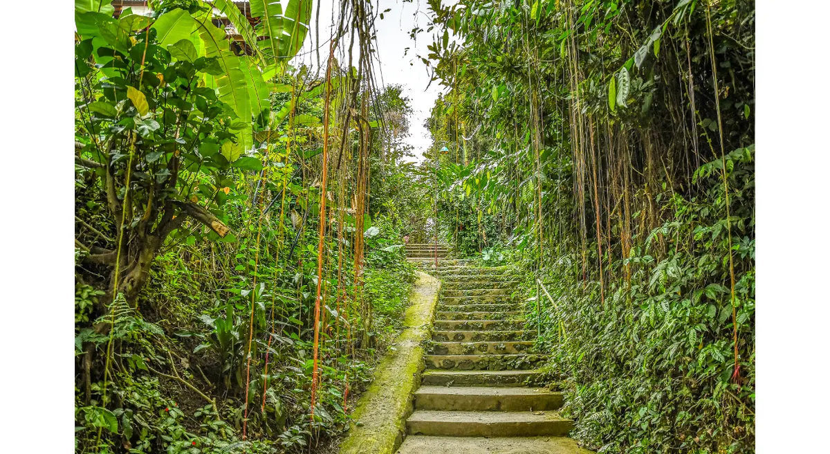 Bali Discovery
