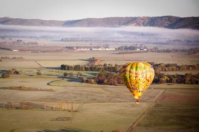 Yarra Valley Full-Day Wine Region Tour