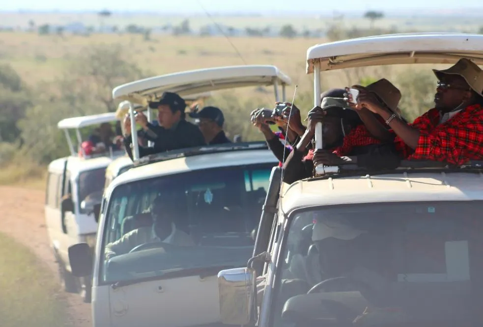Governors Sky Safari 
