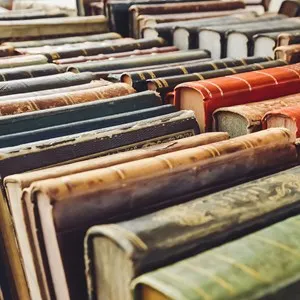 The Time Traveller's Bookshop