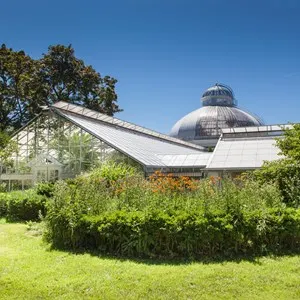 Allan Gardens Conservatory