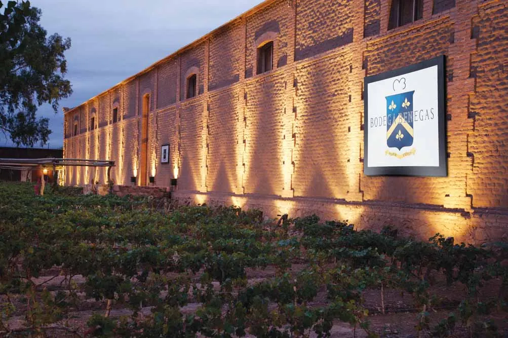 Argentina and Chile Wine Country Explorer