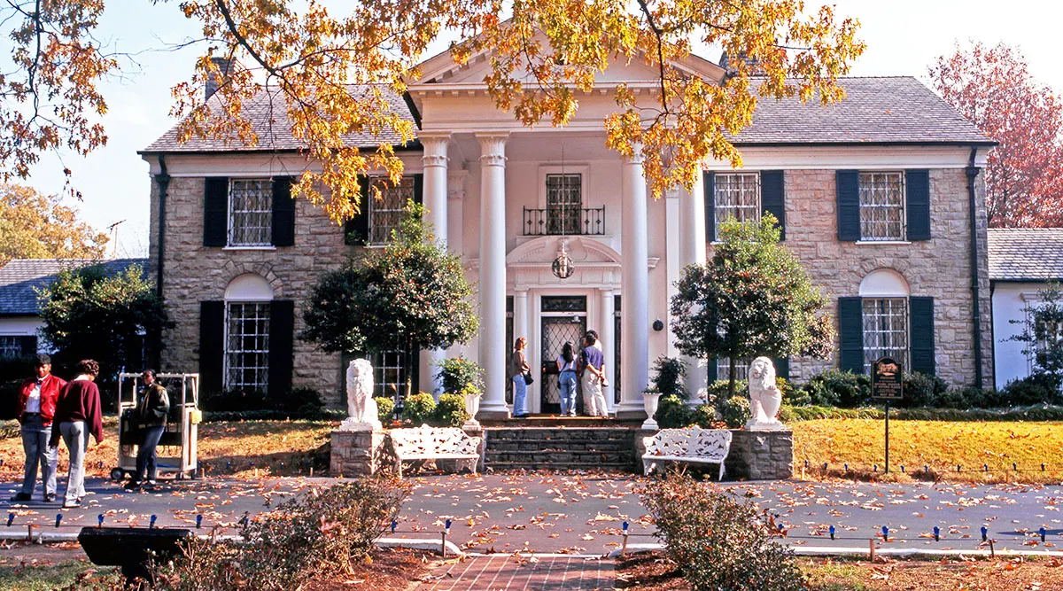 Rhythms of the South