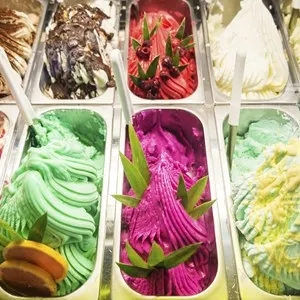Gelateria Dolceneve Bio