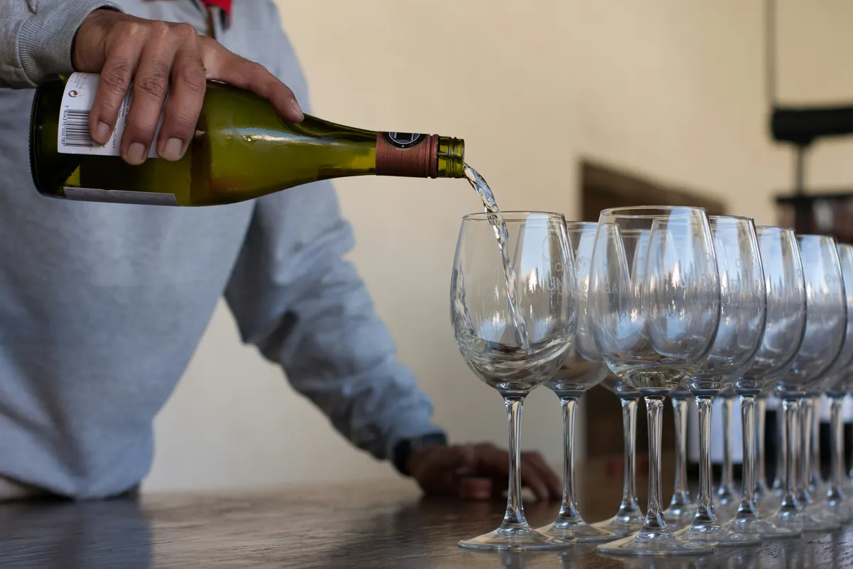 Santiago Wine Route Private Journey