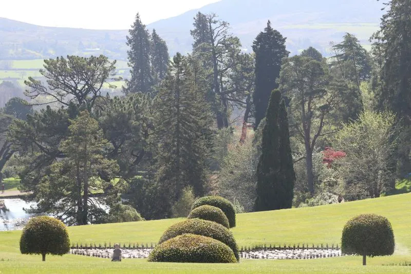 Private Journey to the Gardens of Ireland in Autumn