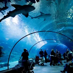 Rotterdam Zoo