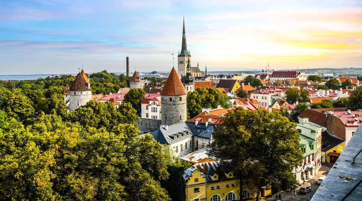 Tallinn Discovery