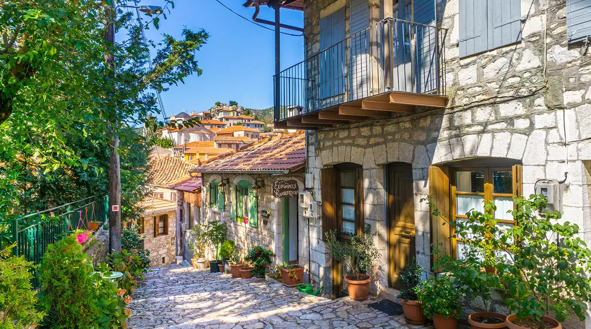 Greece for Foodies  - photo 3