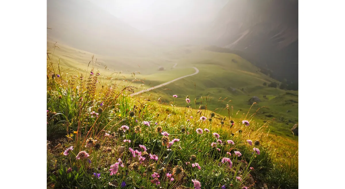 Venice and The Dolomites Self Drive Explorer
