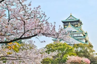 Classic Japan ExplorerImage