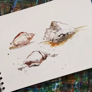 sea shells watercolour paint in sketchbook