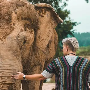 Elephant Sanctuary