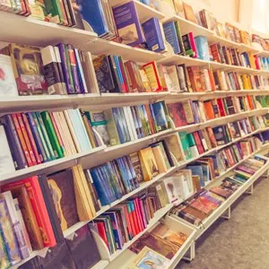 Rows of books at a book store