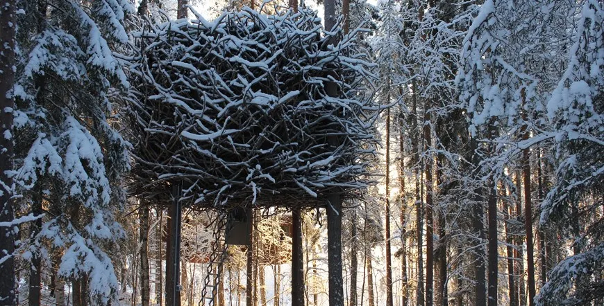 Stockholm The Ice Hotel and The Treehotel Multi City Vacation