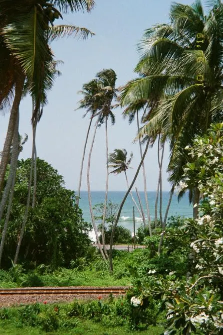 Bathsheba photo 2