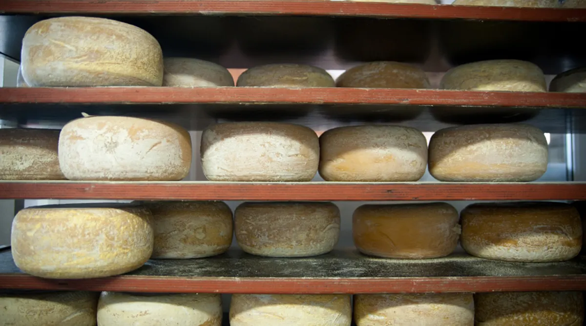 Self Drive Gastronomical Journey of Ireland