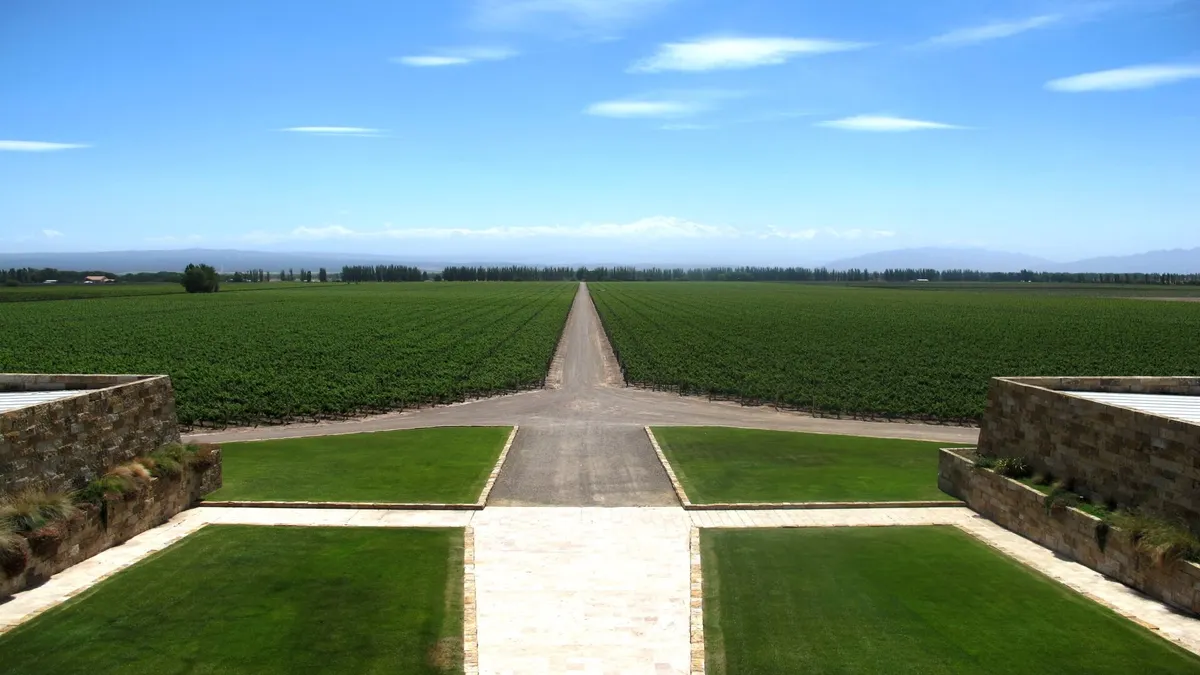 Andean Wine and Culinary Explorer