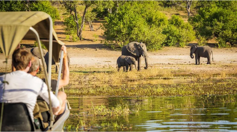 Chobe National Park