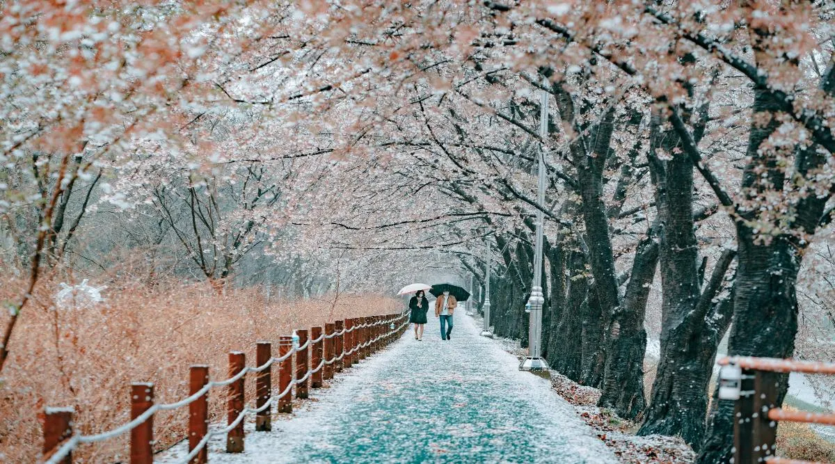 South Korea and Japan Explorer