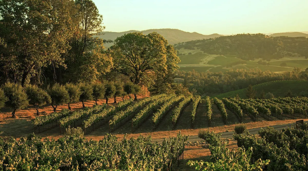 Napa Valley Discovery