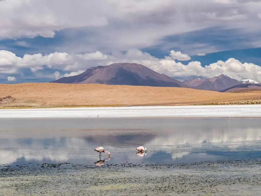 Bolivia