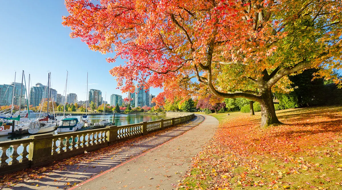 Vancouver Pre or Post Cruise