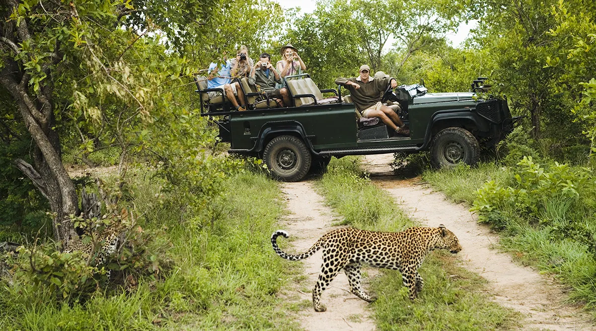 South Africa Explorer