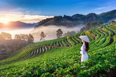 Thailand Explorer Image