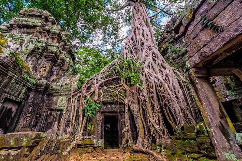 Cambodia A la Carte Private Vacation