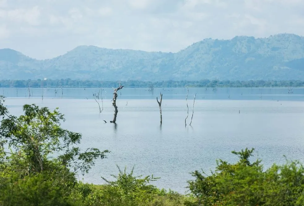 Tanzania Fly-In Safari