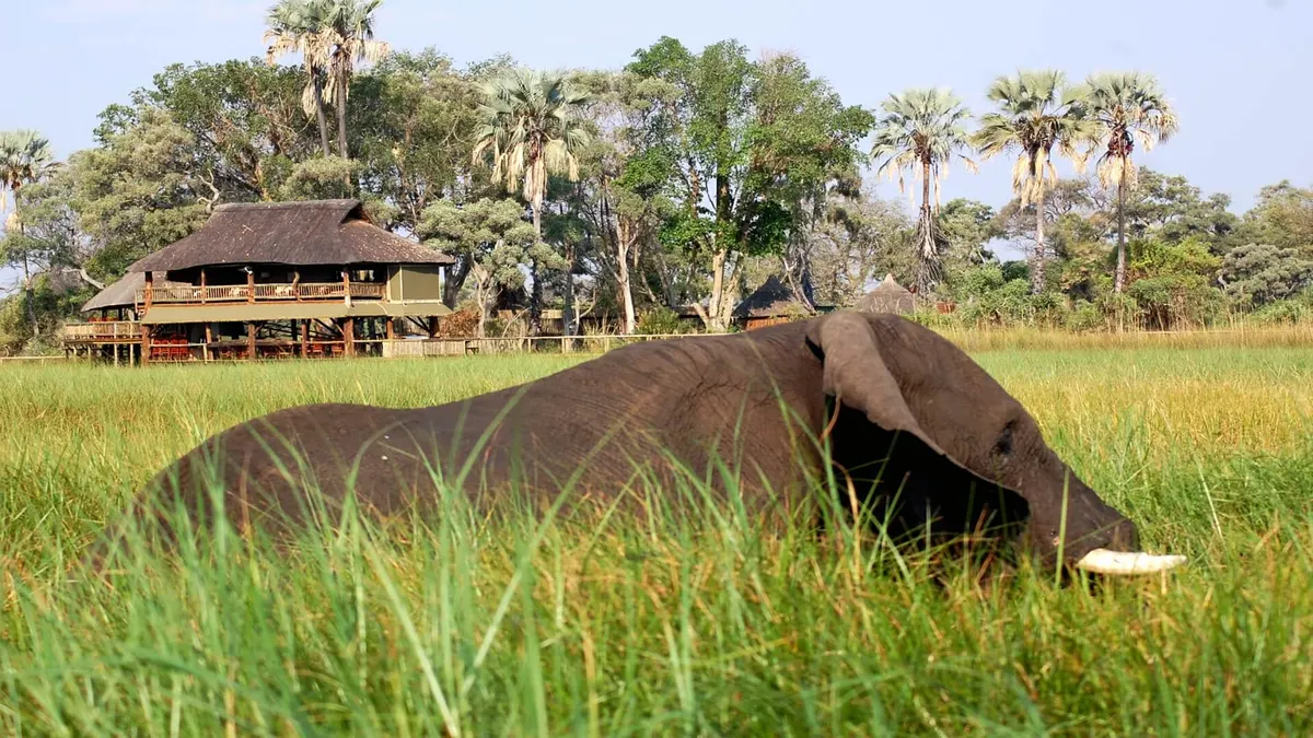 Unforgettable Botswana